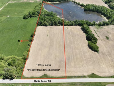 /international/us/v-l-1-hurds-corner-road-kingston-mi-110108854322/