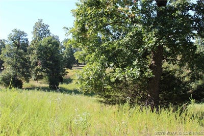 /international/us/magnolia-road-lot-cl21-gravois-mills-mo-110110015241/