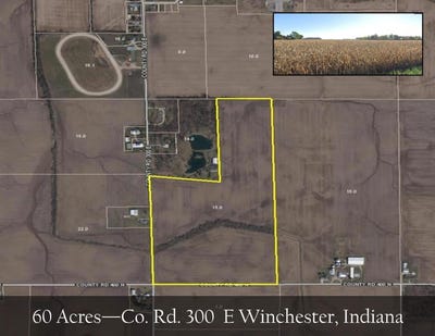 /international/us/0-e-co-rd-300-e-winchester-in-110101090638/?lang=zh-tw