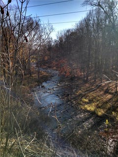 /international/us/6240-pheasants-crossing-farmington-ny-110109132999/
