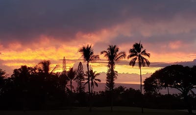 /international/us/78-6920-alii-dr-kailua-kona-hi-110106373779/