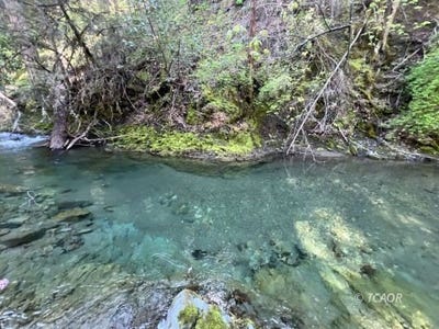 /international/us/1500-1551-reading-creek-rd-douglas-city-ca-110107465740/