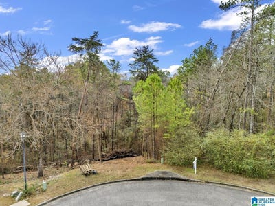 /international/us/280-cedar-grove-parkway-lot-34-alabaster-al-110099043718/
