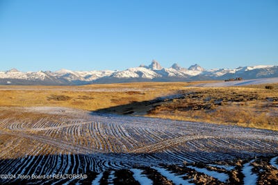 /international/us/8779-grizzly-ridge-road-tetonia-id-110095651178/
