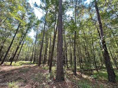 /international/us/6-forest-service-road-562-pulaski-ms-110106365354/