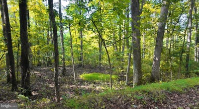 /international/us/lot-42-shale-hill-lane-augusta-wv-110101501259/?lang=zh-cn