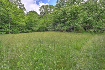/international/us/000-goode-hollow-road-duffield-va-110092357189/