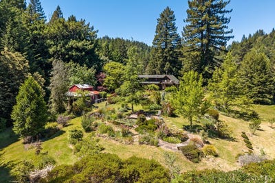 /international/us/31501-comptche-ukiah-road-comptche-ca-110108218620/