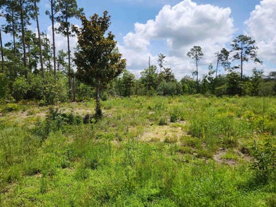 /international/us/hwy-20-other-florida-fl-110100197770/