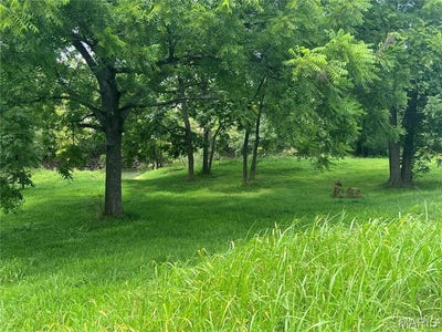/international/us/707-riverview-drive-n-poplar-bluff-mo-110093519806/