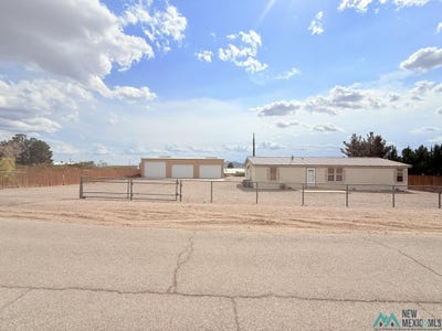 /international/us/124-san-mateo-avenue-elephant-butte-nm-110100635322/