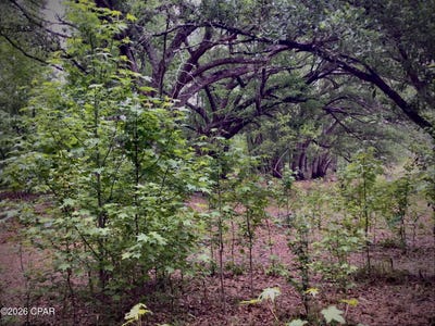 /international/us/little-zion-road-sneads-fl-110108572056/