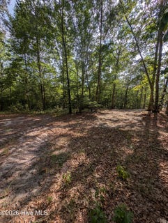 /international/us/peyton-drive-lot-2r-2-eagle-springs-nc-110109507015/