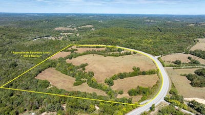 /international/us/n-central-avenue-batesville-ar-110110422199/