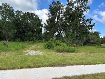 /international/us/6981-e-state-road-44-wildwood-fl-110101271949/?lang=en