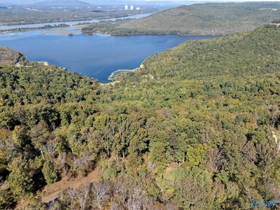 /international/us/lot-1-county-road-224-dutton-al-110095376263/?lang=zh-tw
