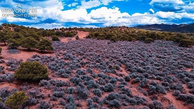 /international/us/3687-schiefflin-road-fort-garland-co-110109984177/