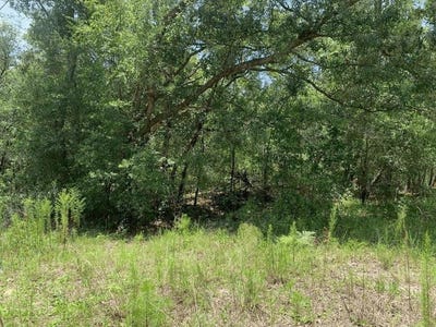 /international/us/oklahoma-avenue-satsuma-fl-110107347565/