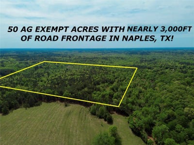 /international/us/county-road-2742-naples-tx-110105365634/