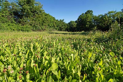 /international/us/76-acres-skyline-road-blue-river-wi-110109087916/