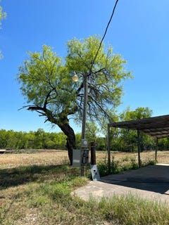 /international/us/31-fm-1664-quemado-tx-110091275222/