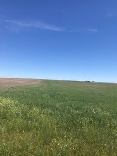 /international/us/county-road-85-dalton-ne-110107997751/