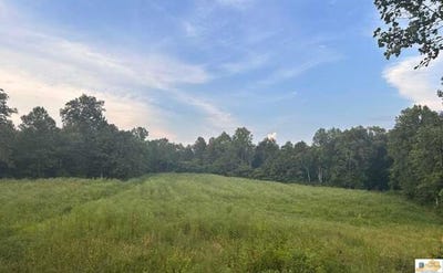 /international/us/1705-jones-school-road-magnolia-ky-110110294847/