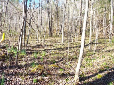 /international/us/hooper-chastain-road-tuckasegee-nc-110090788411/
