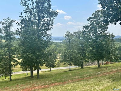 /international/us/county-road-1022-lot-218-cedar-bluff-al-110110259363/