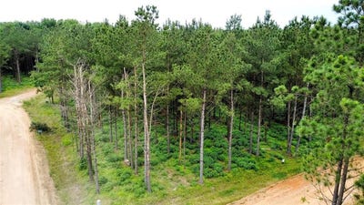 /international/us/159-pine-warbler-trail-broken-bow-ok-110099686630/