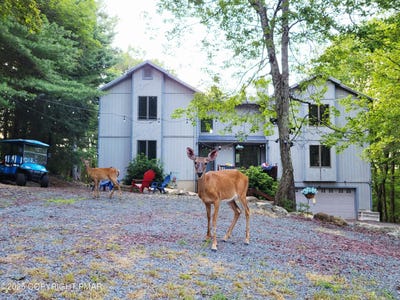/international/us/74-split-rock-road-lake-harmony-pa-110099688274/