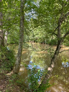 /international/us/811-trigonia-road-maryville-tn-110100807896/