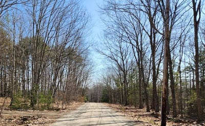 /international/us/24-palmer-hill-road-nobleboro-me-110107652137/