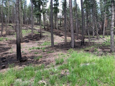 /international/us/pendaries-village-subdivision-4-2-extension-lot-67-rociada-nm-110084936961/?lang=en