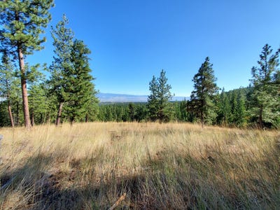 /international/us/elizabeth-road-victor-mt-110104584872/
