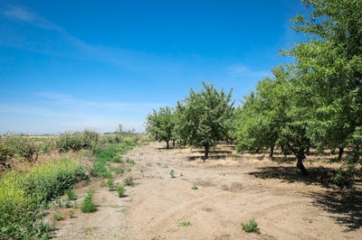 /international/us/thorton-road-merced-ca-110108021347/