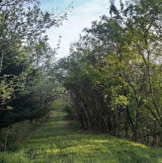 /international/us/jo-lin-estates-lot-34-35-huntington-wv-110107406459/