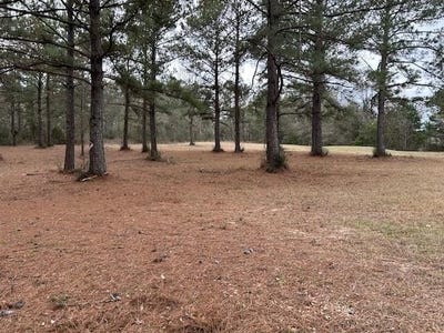 /international/us/26585-old-lake-road-lot-999-mount-hermon-la-110105872803/
