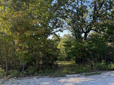/international/us/0-lot-6b-lakeview-drive-perryville-mo-110106313251/