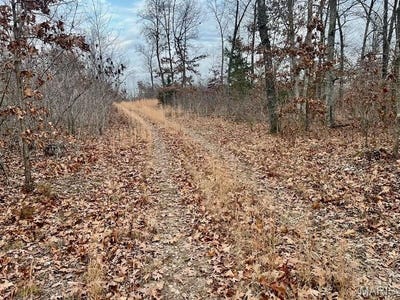/international/us/0-125-87-ac-tract1-a-clear-creek-road-richwoods-mo-110096311511/