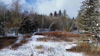 /international/us/142-brooks-road-ludlow-vt-110104160314/