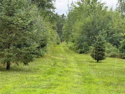 /international/us/6-acre-lot-nagel-road-pequot-lakes-mn-110099664983/?lang=zh-tw