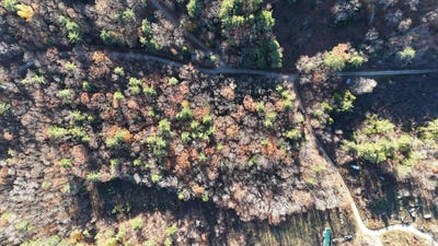 /international/us/00-whitney-road-henniker-nh-110101193501/?lang=it