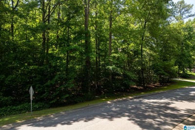 /international/us/lot-5-furnace-creek-parkway-mccalla-al-110092269069/