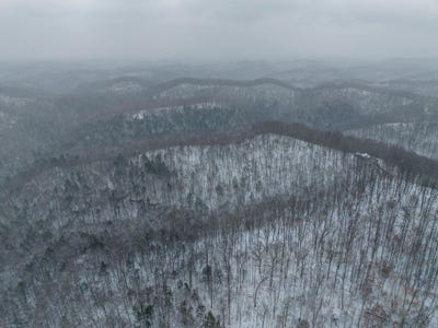 /international/us/3592-perry-ridge-rd-dunlow-wv-110106178332/