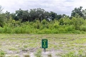 /international/us/1480-oxford-preserve-trail-oxford-fl-110108847153/