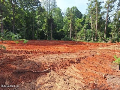 /international/us/1063-dry-creek-road-mendenhall-ms-110103776098/