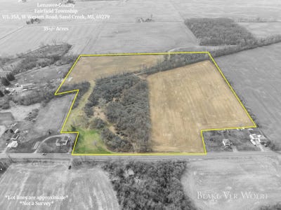 /international/us/w-weston-road-sand-creek-mi-110106852558/