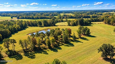 /international/us/mccaney-mill-road-lexington-tn-110120510925/
