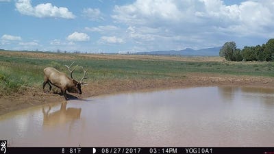 /international/us/akati-gulch-road-hesperus-co-110105049317/